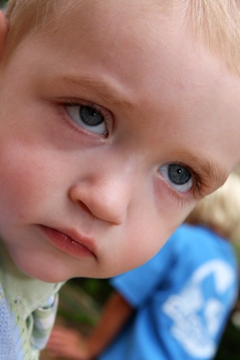 IMG_0100 IMG_0100
