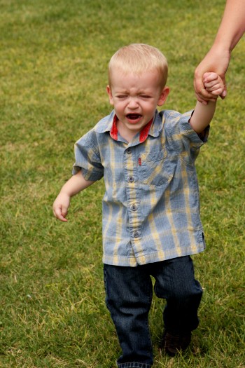 IMG_0334 IMG_0334